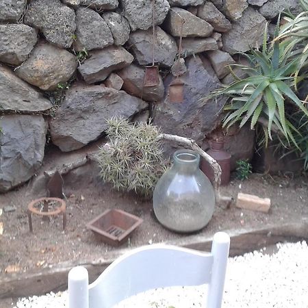 Il Tarlo Bed & Breakfast Seneghe Bagian luar foto
