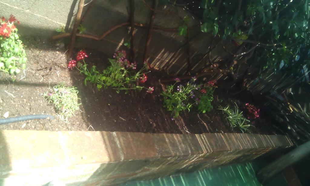 Il Tarlo Bed & Breakfast Seneghe Bagian luar foto