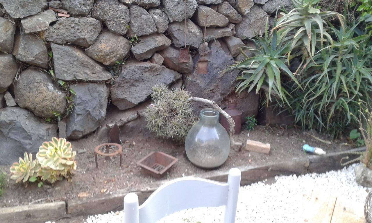 Il Tarlo Bed & Breakfast Seneghe Bagian luar foto