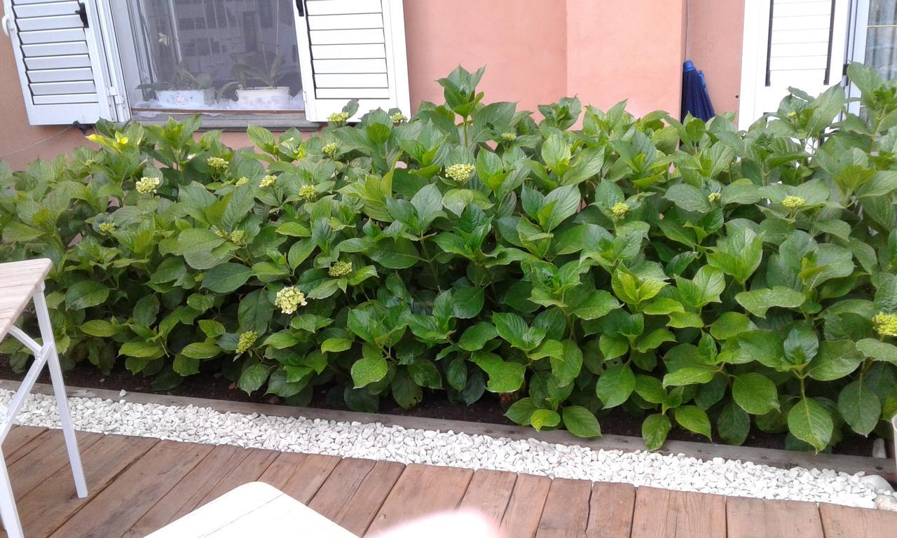 Il Tarlo Bed & Breakfast Seneghe Bagian luar foto